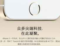 iPhone 5s�����¹���